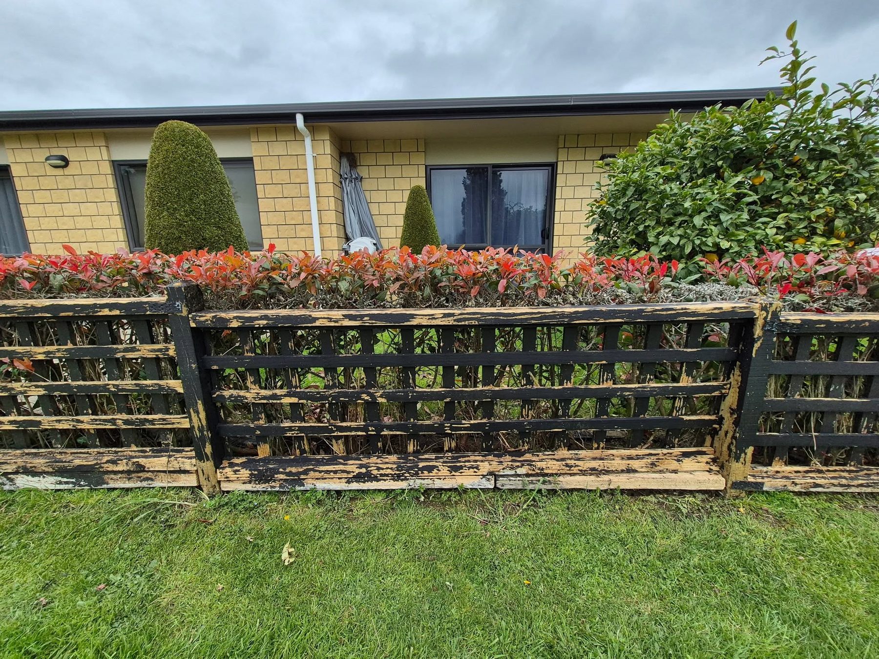 Exterior repaint and black fence by Waring